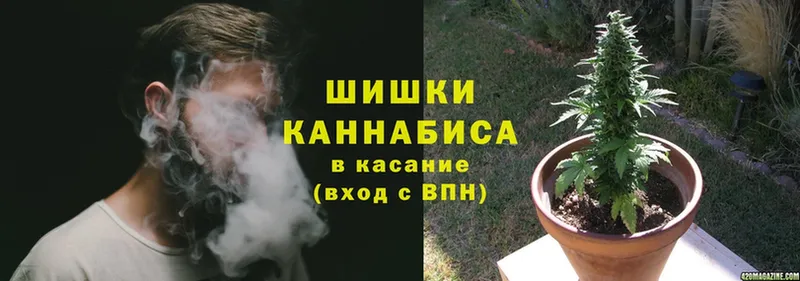 блэк спрут ссылка  даркнет сайт  Александровск-Сахалинский  Канабис OG Kush 